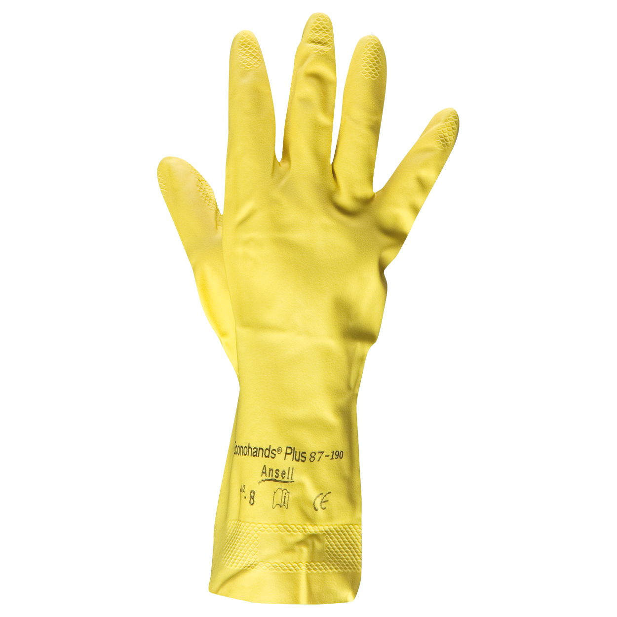 econohands-oaecaeaca-gantaea