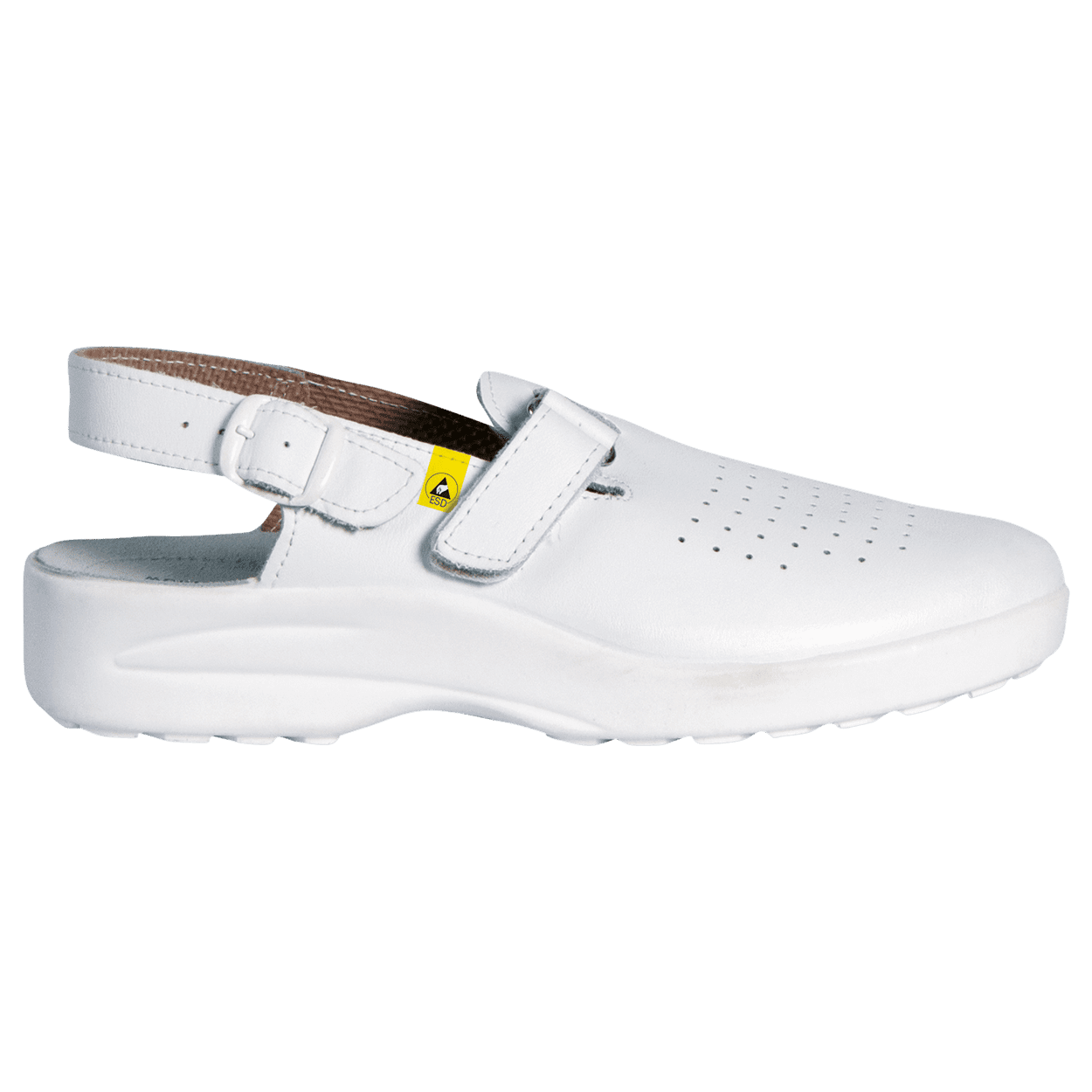 gf-lady-esd-gounaaeceia-sampo