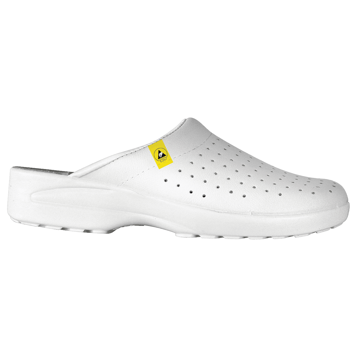 gf-man-esd-andrhaeco-sampo