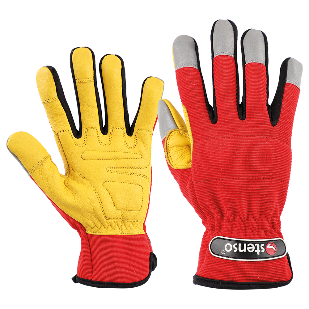 laguna-20-derhmataena-gantaea