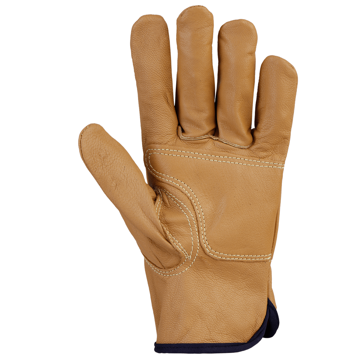 ray-derhmataena-gantaea