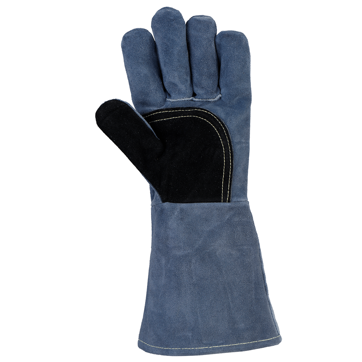 sargo-gantaea-sougcolleses