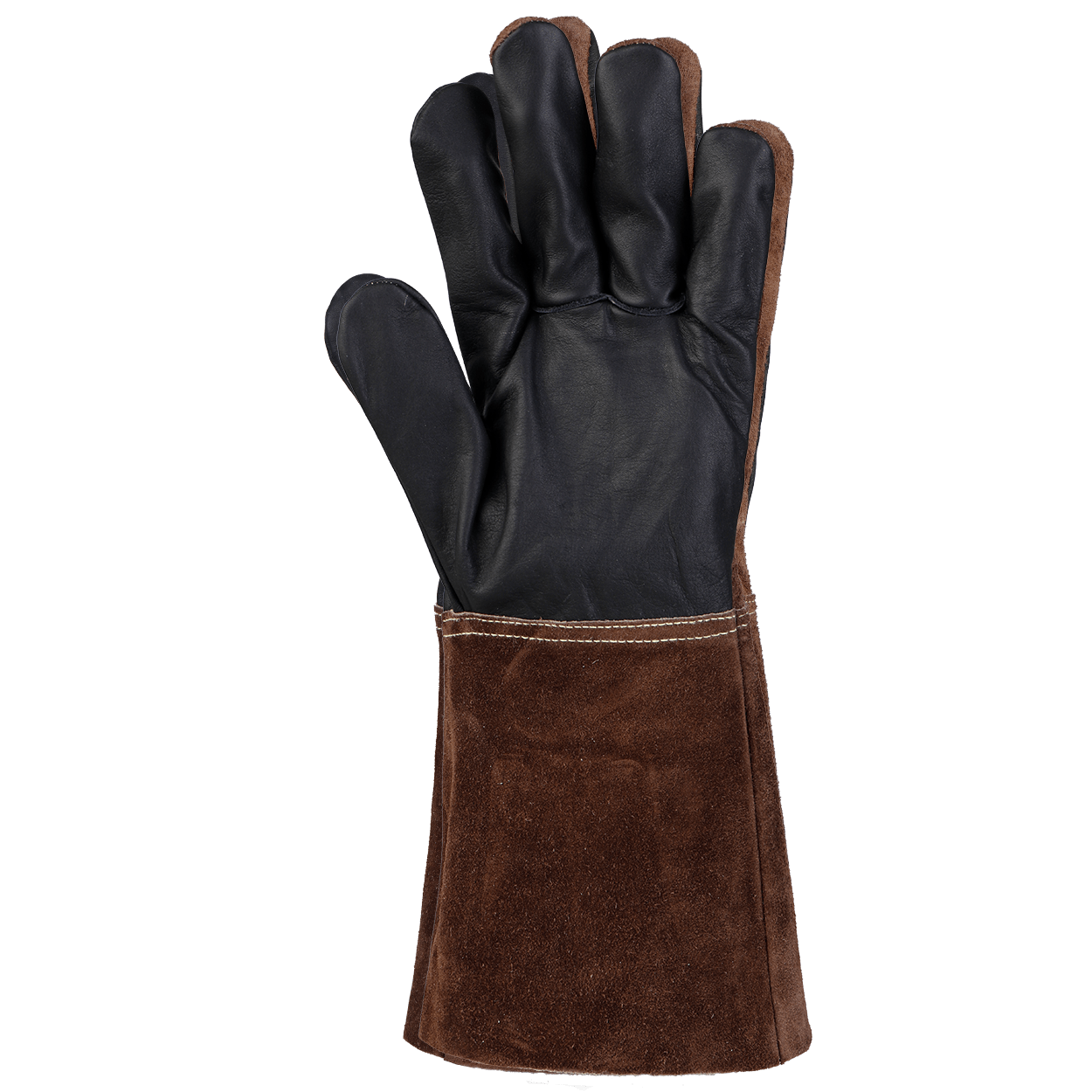 shad-gantaea-sougcolleses