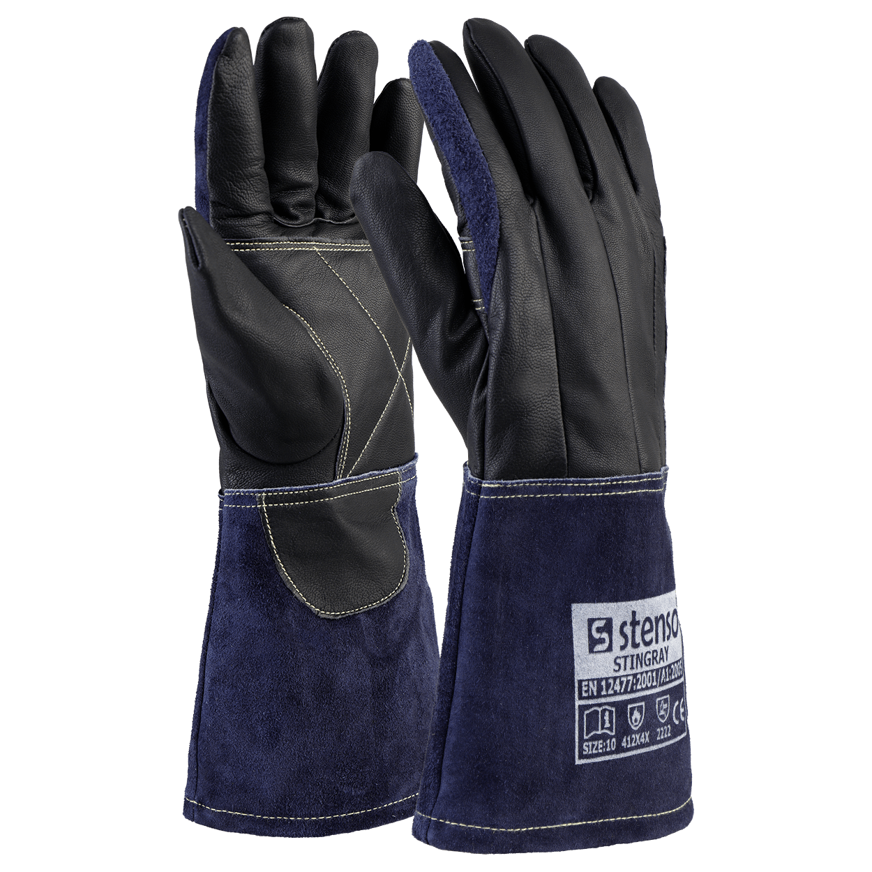 stingray-gantaea-sougcolleses