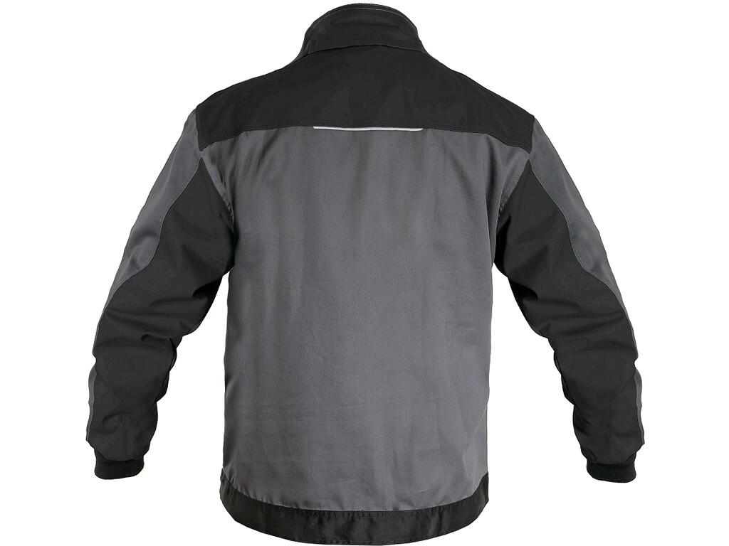 38336_1010-016-710-00-PHOENIX-PERSEUS_2